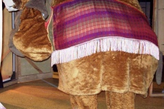 Camel-Image