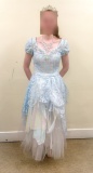 Cinderella-Half-Way-dress