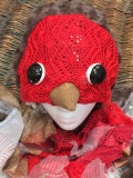 robin-head_anonymized